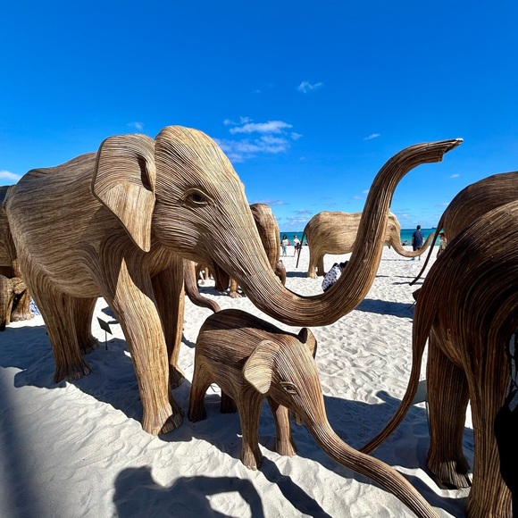 Meet your Posher, Lisa - Picture 15 of 16